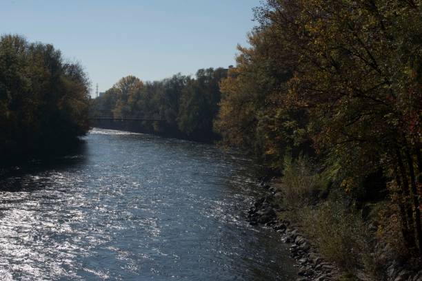 istock river and river water in nature 1316830253