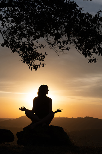 Silhouette of a tree and a young woman practicing yoga on the mountains with a beautiful sunset