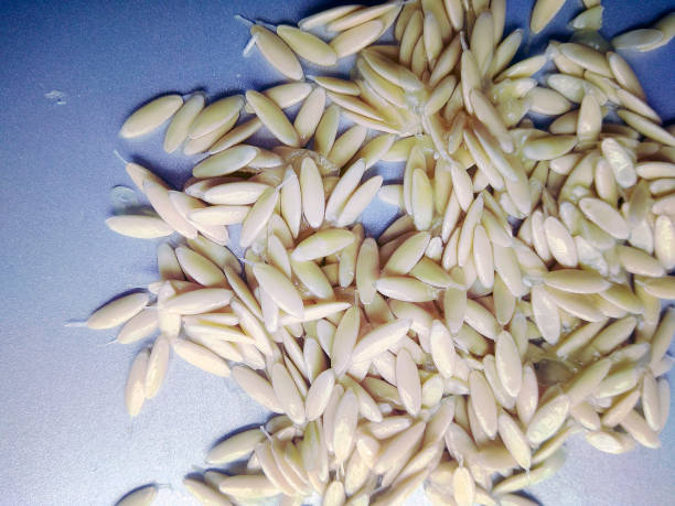 istock A Few Old Leftovers Dried Out Cucumber Seeds 1316831526