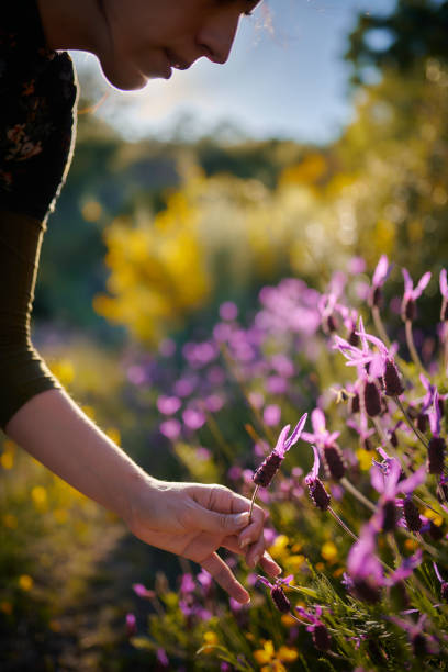 istock Girl picking flowers 1316832680