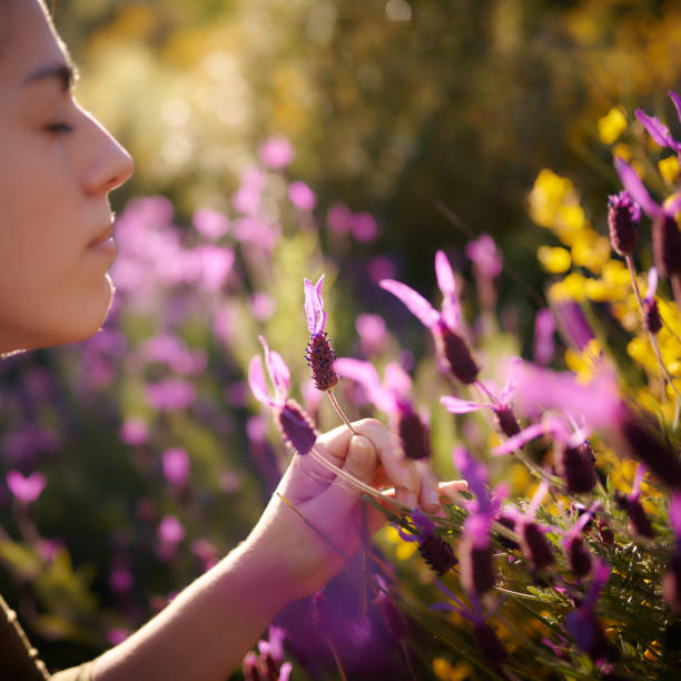 istock Girl picking flowers 1316832693