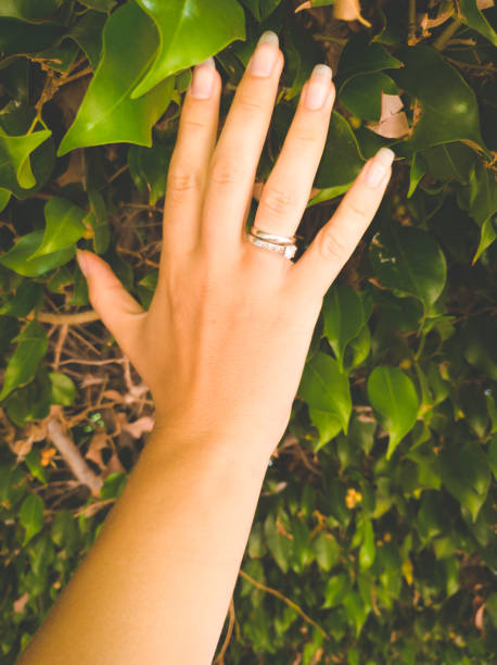 istock Closeup toned image of female hand touching tree leaves 1316833082