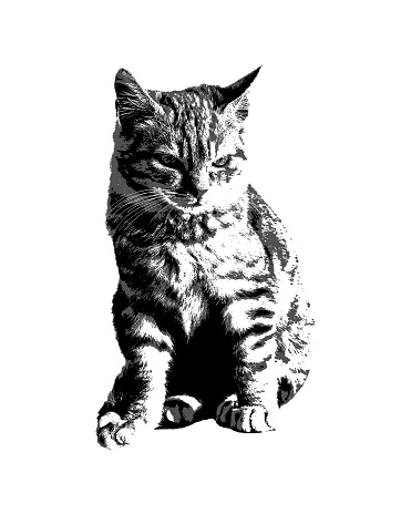 Orange kitten cat sitting stencil style graphic illustration isolated on white background
