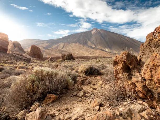 Photo of Beutiful image of arid desert with dry plants and bushes on the mountain slope