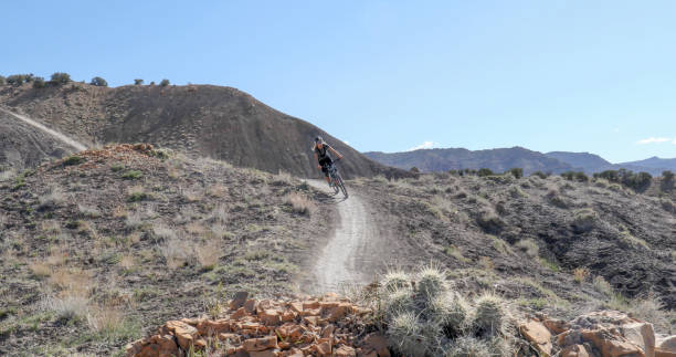 istock Female mountain biker follows desert trail 1316838291