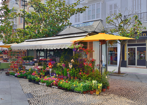 Paris, France - March 4, 2024: Facade of a Parisian café covered with a beautiful exuberant floral decoration. Artificial flowers are a new trend in decorating cafes and restaurants in Paris, France