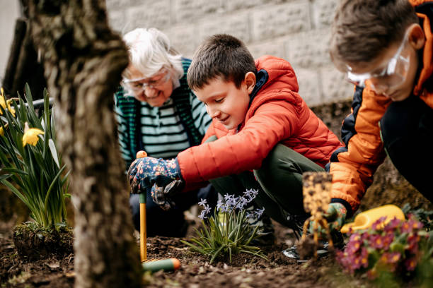 jardinería - planting clothing gray hair human age fotografías e imágenes de stock