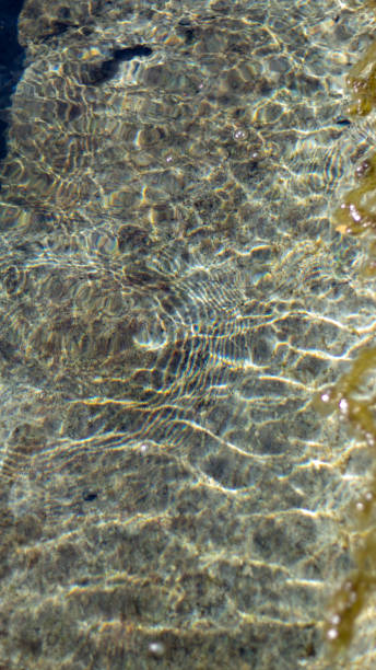 istock blue water shimmers in the sun, background 1316842985