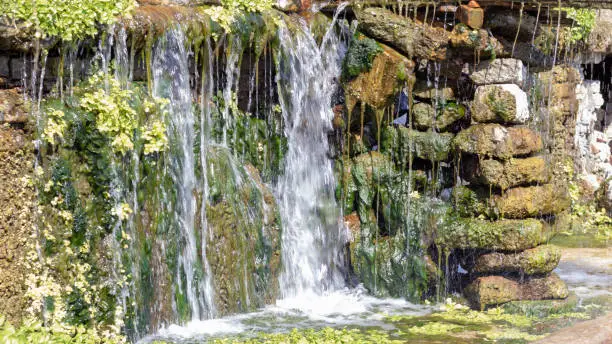 a spring with clear water, like a waterfall, surrounded by fresh young greenery
