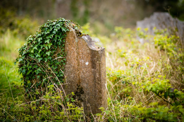 Weathered tombstones and lush green grass fill a sunlit cemetery St Peter's Church in Askham scene. Moss and lichen adorn ancient markers, evoking memory, history, and peaceful nature in a rural, timeless setting.
