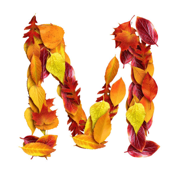 istock 3d alphabet made of leaves, uppercase letter M, 3d rendering 1316846891