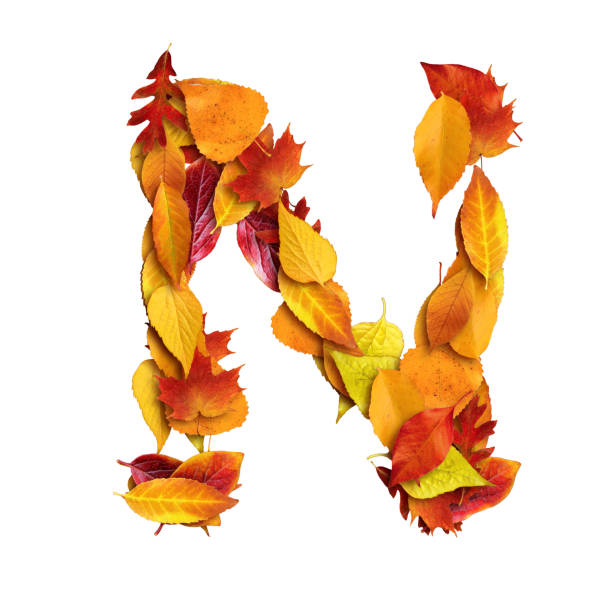 3d alphabet made of leaves, uppercase letter N, 3d rendering