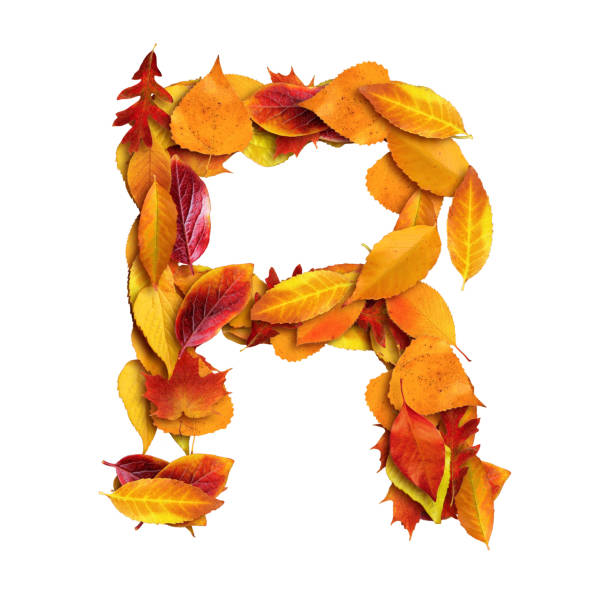 istock 3d alphabet made of leaves, uppercase letter R, 3d rendering 1316847012