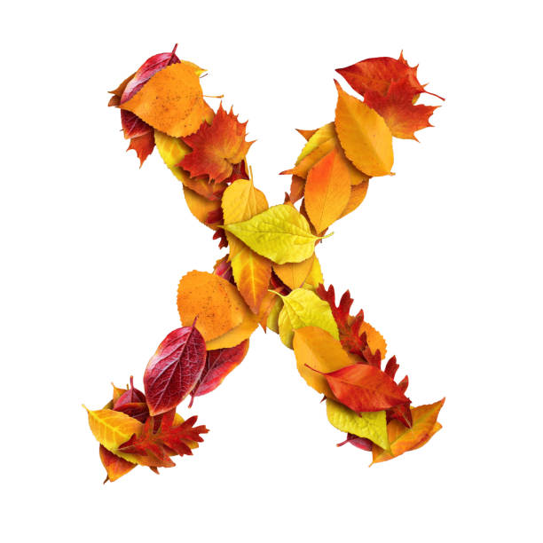 istock 3d alphabet made of leaves, uppercase letter X, 3d rendering 1316847047