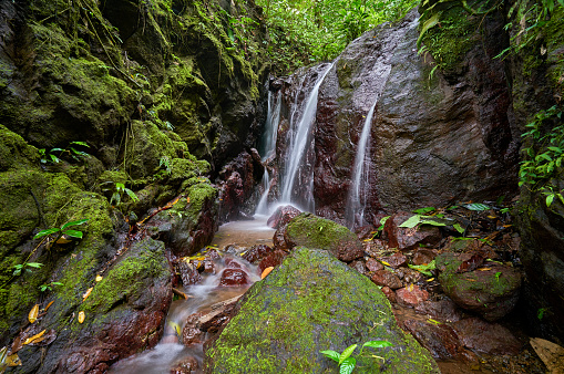 Wild Untamed Rainmaker Rainforest Biological Reserve in the Cloud Forest of Costa Rica