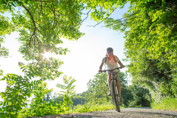 istock Man mountain bikes through lush green forest 1316848229