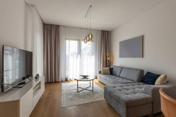 istock Interior of a modern living room 1316849448