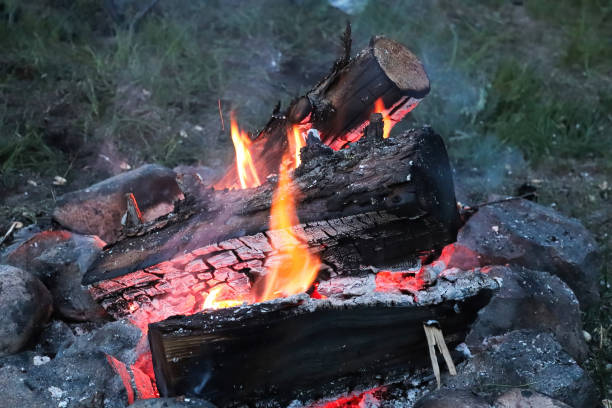 nahaufnahme eines lagerfeuers mit holzverbrennung - fire pit fire camping burning stock-fotos und bilder