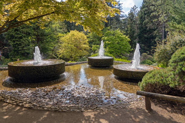 istock Fountains at Forest Botanical Garden Cologne 1316861338