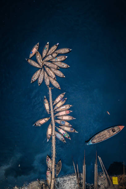 istock flower in the sea... 1316863418