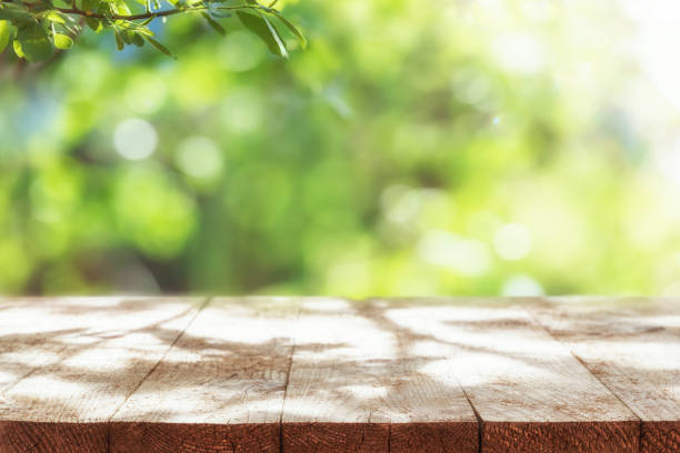 Empty Wooden Table with Defocused Green Lush Foliage at Background. Spring or Summer Backdrop. Empty rustic wooden table with defocused green lush foliage at background. Backdrop for product display on top of the table. Focus on foreground. high section photos stock pictures, royalty-free photos & images