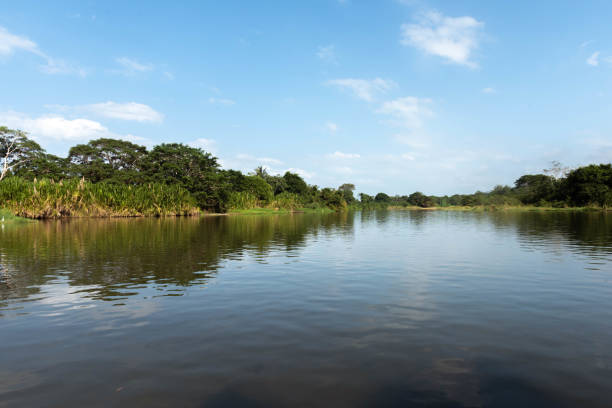 istock Lagoon in Tayrona and Cielo National Park. 1316865310