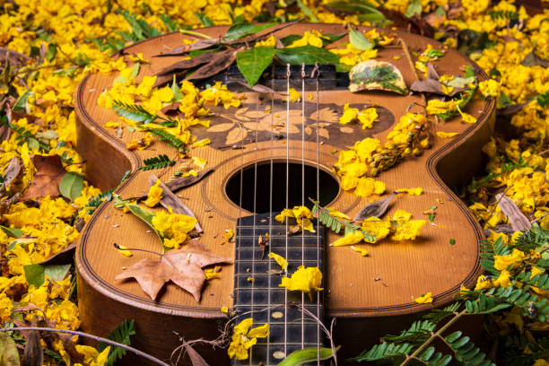 гитара покрыта желтыми цветами - musical instrument string flash стоковые фото и изображения