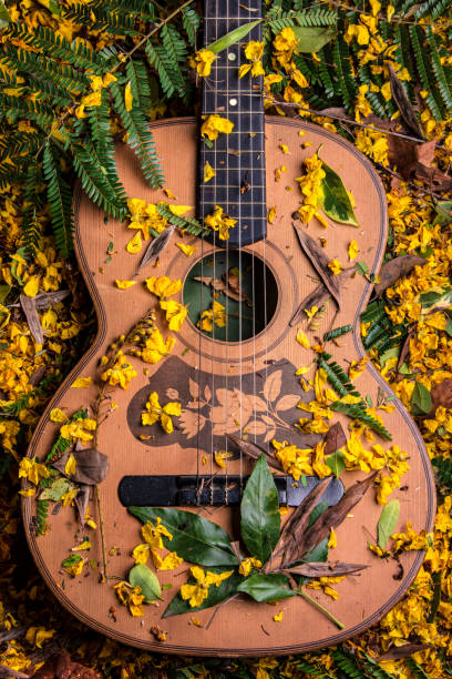 上と内側に、周りの花とギターのボディ - spanish culture flash ストックフォトと画像