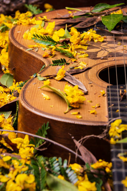 pół gitara pokryta kwiatami - spanish culture flash zdjęcia i obrazy z banku zdjęć