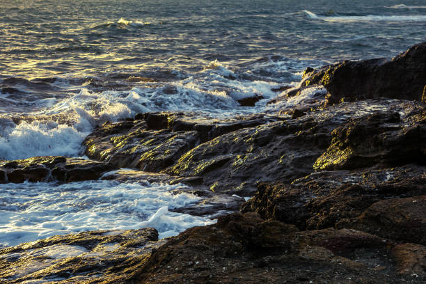 istock Sunset by the sea 1316868933
