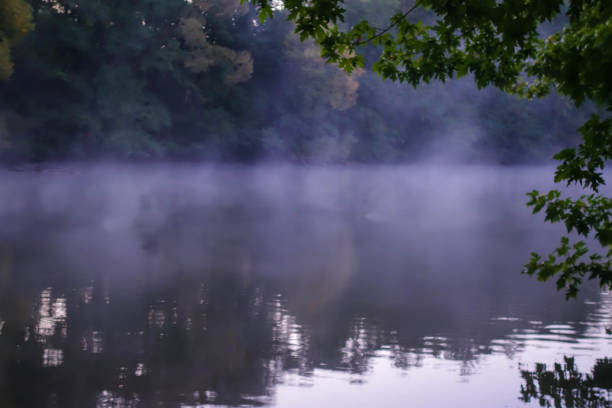 Morning Mood Nature