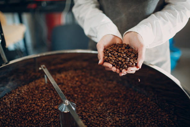istock Coffee cooling in roaster machine at coffee roasting process. Young woman worker barista Mixing and hold coffee beans in hands. 1316878238