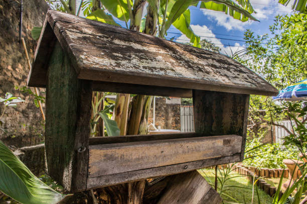 istock Tiny wooden house made for birds 1316881399