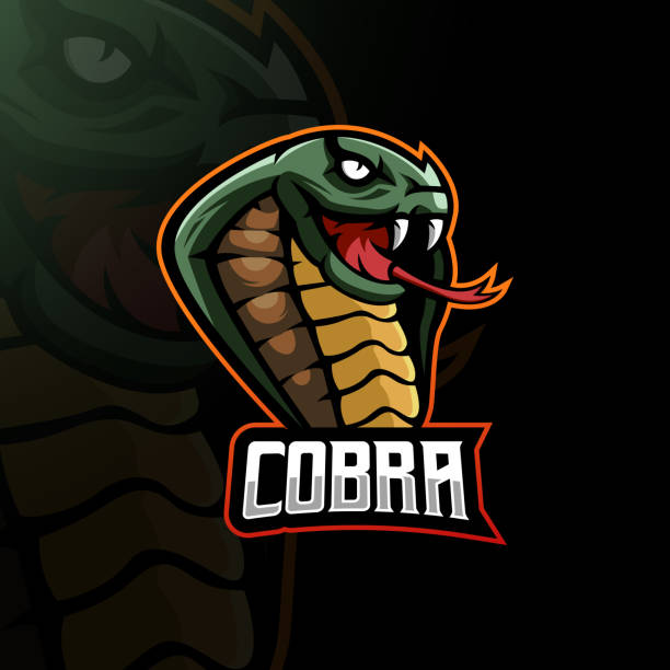 cobra-teamlogo - cobra snake aggression king cobra stock-grafiken, -clipart, -cartoons und -symbole