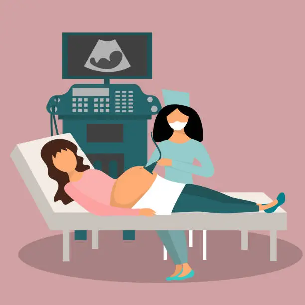 Vector illustration of Pregnancy screening. Ultrasound pregnancy screening concept.