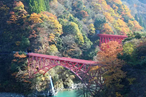 Photo of Yamahiko red Bridge in Kurobe Gorge, a famous place in Toyama.