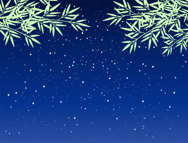 대나무 잎과 별이 빛나는 하늘의 그림 - color image colored background tree branch stock illustrations