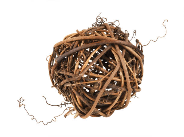 istock Dry brown rattan ball with twisted tendrils isolated 1316903652