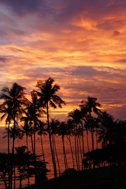 istock Sunset View nearby Senggigi Beach, Indonesia 1316904849