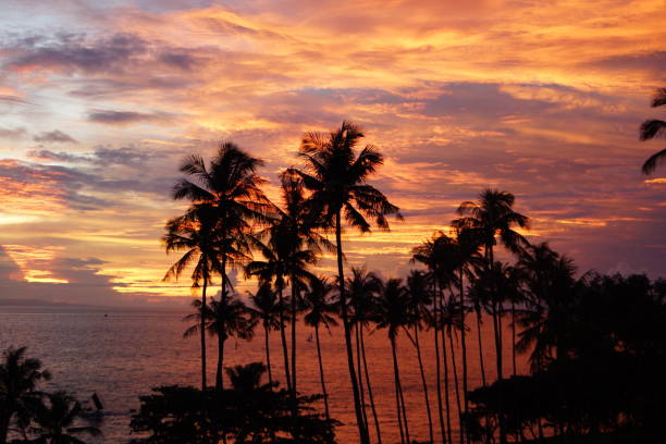 istock Evening view of Lombok Island 1316904855