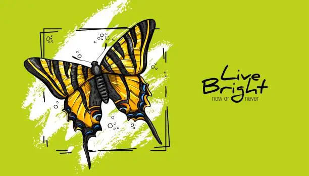 Vector illustration of Realistic hand drawing yellow monarch butterfly.
