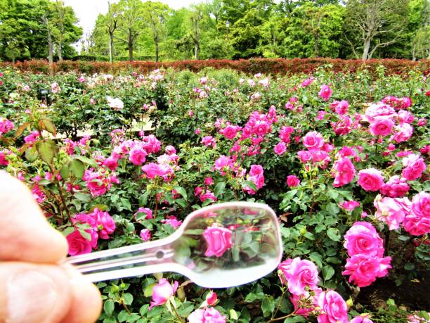 Transparent plastic spoon working as the optic lens.