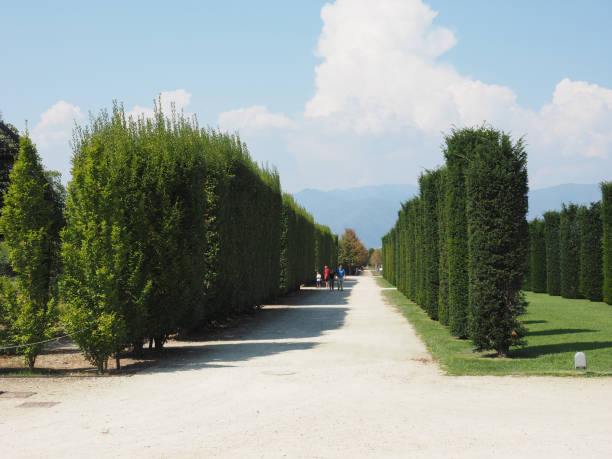 reggia di venaria gardens in venaria - venaria foto e immagini stock