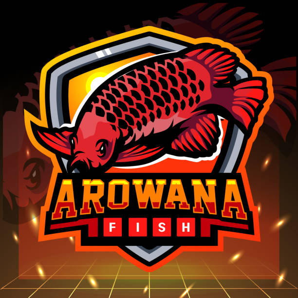 Arowana fish mascot. symbol design Arowana fish mascot. symbol design gold arowana stock illustrations