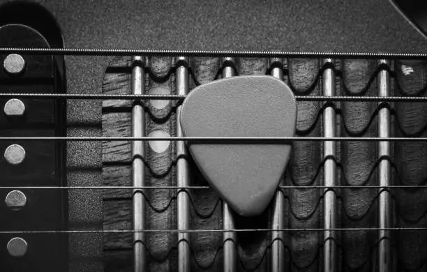 Single coil pickup on the left side. Black and white photograph.