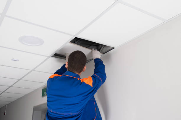 istock worker dismantles the suspended ceiling, rear view 1316913877