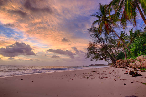 Tropical paradise