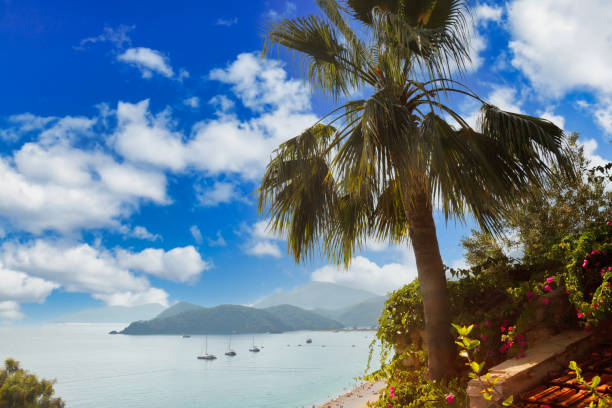 Palm tree on mountain against backdrop of azure Aegean Sea, lush mountains, fluffy clouds in blue sky and beach with white sand and people. Concept of relaxation, recreation and travel. Copy space