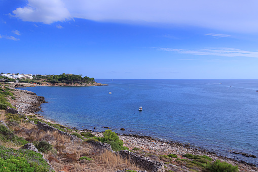 Marina San Gregorio, con sus lechos marinos vírgenes, el mar azul y la costa rocosa, ofrece una maravillosa vista a lo largo de la costa de Patù en Salento, Apulia (Italia). photo