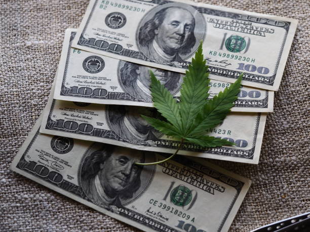 istock business hemp concept. cannabis cloth and dollars. 1316923530